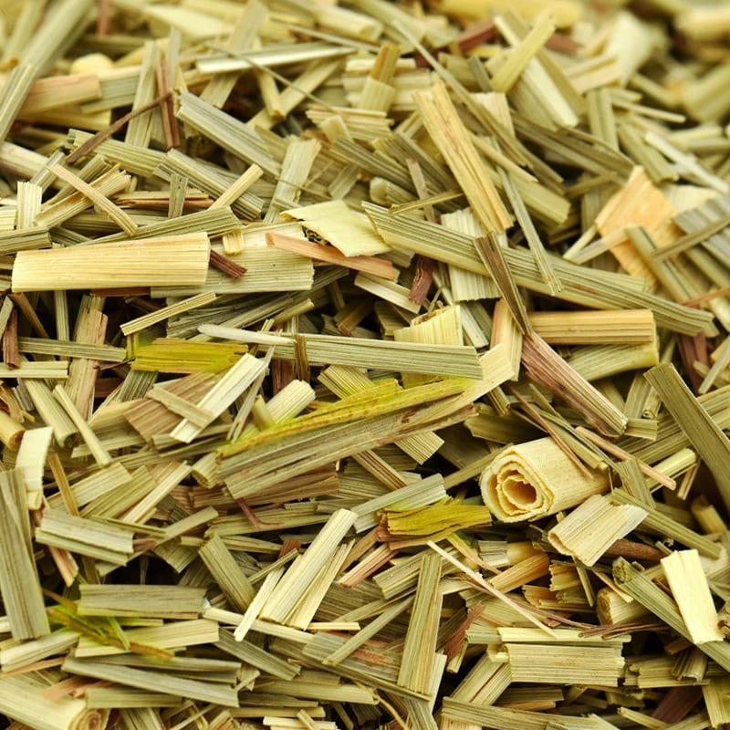 Lemongrass Cut